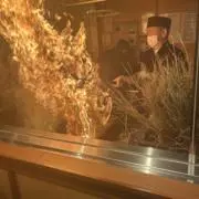 Nakaの画像