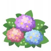 Image of はな