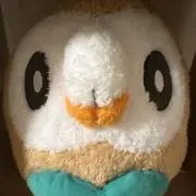 Kの画像