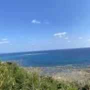 ミルちゃん プロフ必読 おまとめ大歓迎♡の画像