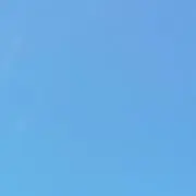 りんごの画像