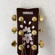 kazuの画像