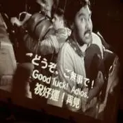 柴の画像