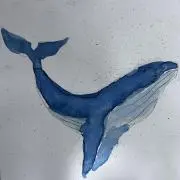 rrの画像