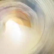 まる