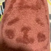 sの画像