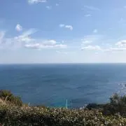 のしの画像