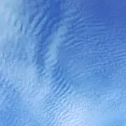 yuzucoの画像