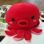 TakoHariの画像