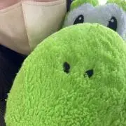 ぷりんの画像