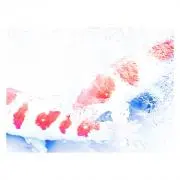 マルスの画像