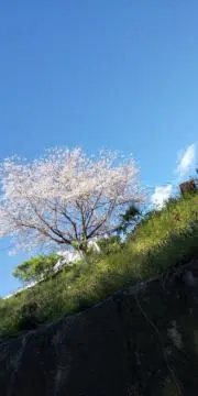 くみ。の画像