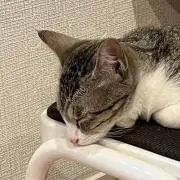 3CAT