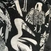 Mnaの画像