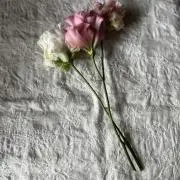 ☺︎a‥＿‥b☺︎の画像