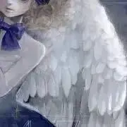 ｂｉｒｄの画像