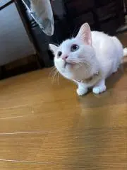 えみっち☆の画像