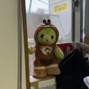 たかみ