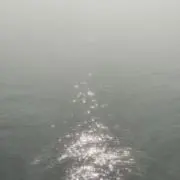 ゆゆゆ
