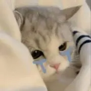 おとの画像