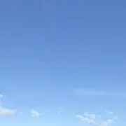 もちきんちゃくの画像