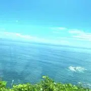 みるくの画像
