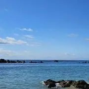 あわの画像