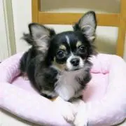 なーやん