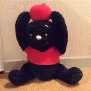 kentaroの画像