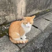 まお