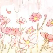 のあ☺︎の画像