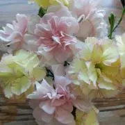 ふふ