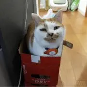 ジュン