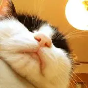nap