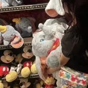 みの画像