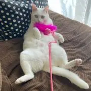 masuの画像