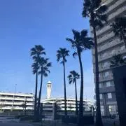 あこの画像
