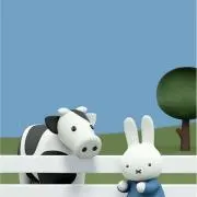 y.miffy・×・の画像