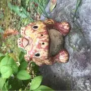 サクラ