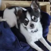 うこちゃんの画像
