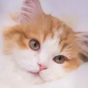 たびとの画像