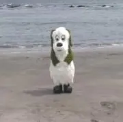 羽の画像