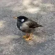 まう@プロフ必読の画像