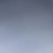 Tの画像