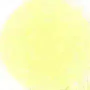 S✴︎Y(=^ェ^=)の画像