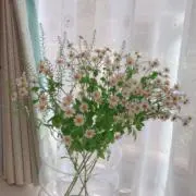 A〜プロフご確認ください〜の画像