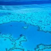~般若~の画像