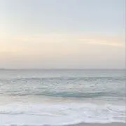 honoの画像