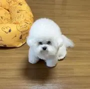 もここ♡プロフィール必須の画像