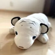 shiro吉の画像